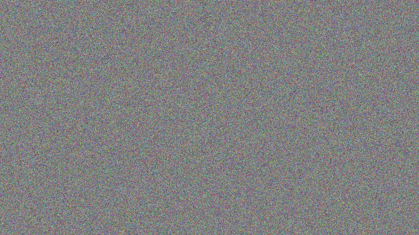 猫咪视频系列拍摄现场花絮