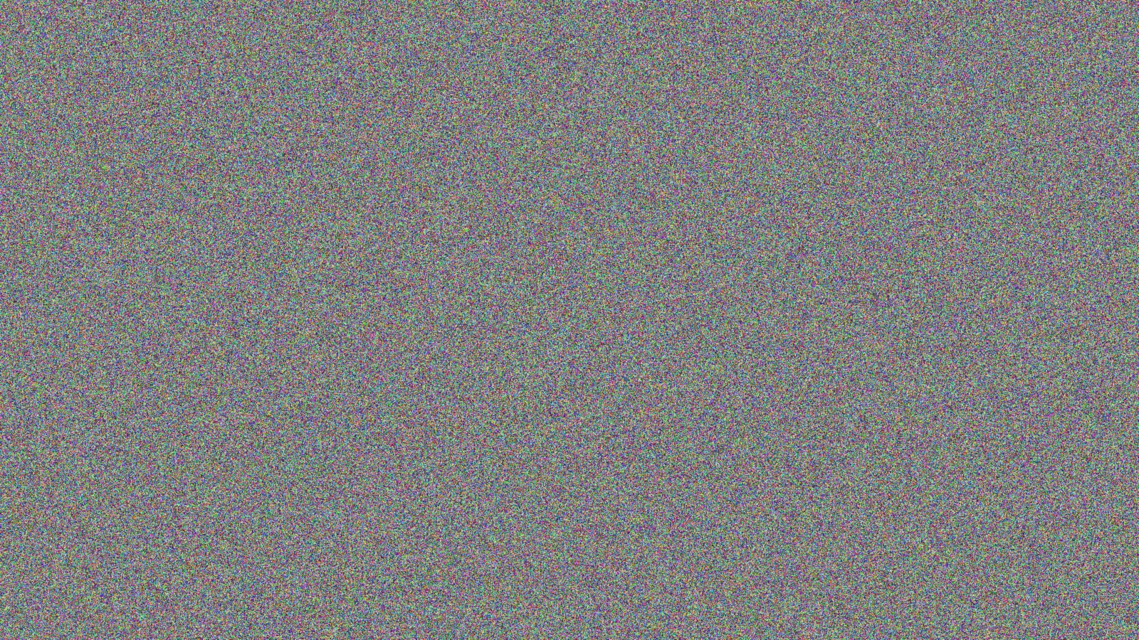 猫咪视频系列拍摄现场花絮